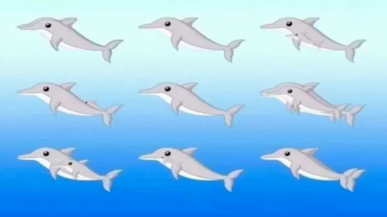 Optical Illusion IQ Test: Can You Spot All The Dolphins In This Mind Bending Image In 20 Seconds?