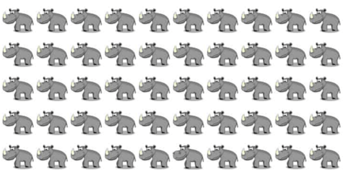 Find The Hippo Hiding In The Rhinos – Only People With Sharp Vision Can Pass This Test!