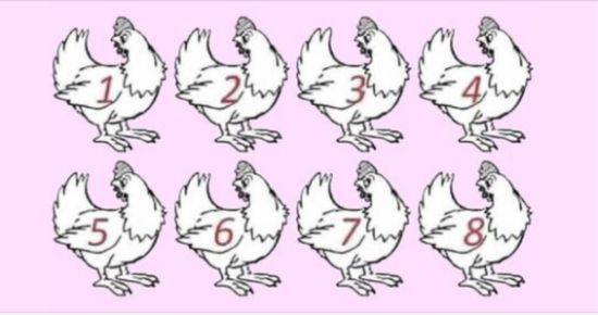 STRICKLY FOR THE » GENIUS» WHICH CHICKEN IS DIFFERENT? NO WINNERS YET. CHECK THE 1ST COMMENT👇