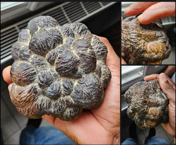 ‘What Is This Thing?’ – People Are Asking For Help Identifying The Strange Objects They Found