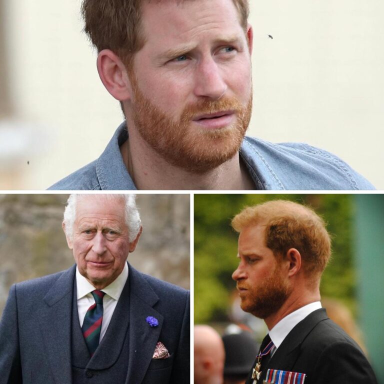 Some have called King Charles’ most recent announcement a “slap in the face” to Prince Harry. What did he do to deserve this? 😢 Check comments 👇