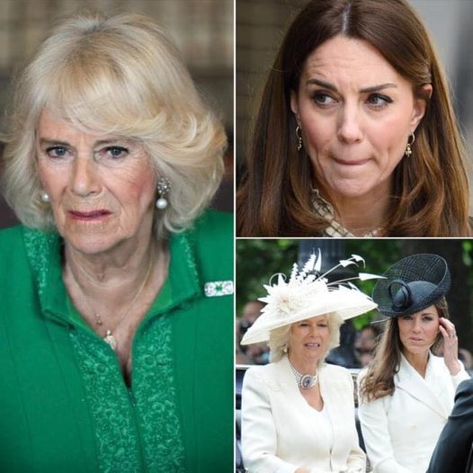 Striking similarities between Queen Camilla & Kate Middleton explained – it confirms what we suspected “Full Story in Comment below” 😮👇